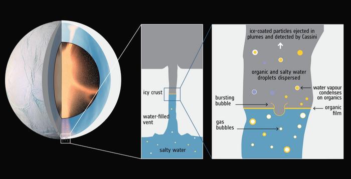 Subsurface Ocean