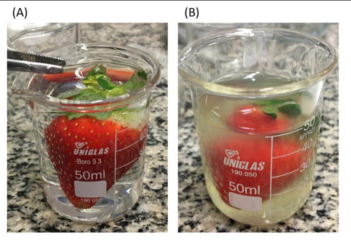 Edible biofilm based on pomegranate peel extract extends the shelf life of strawberries